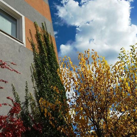 Hisa Posebne Sorte Kodreti Bagian luar foto