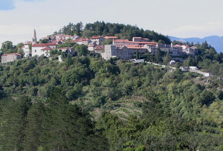 Hisa Posebne Sorte Kodreti Bagian luar foto